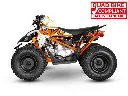 predator125-5.webp
