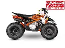 predator125-2.webp