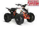 predator125-3.webp